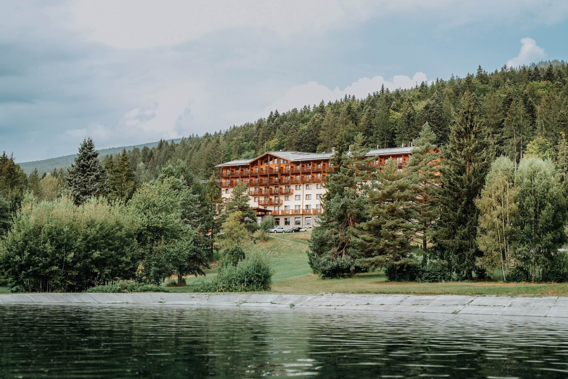Hotel in the forest, forest in the hotel ...