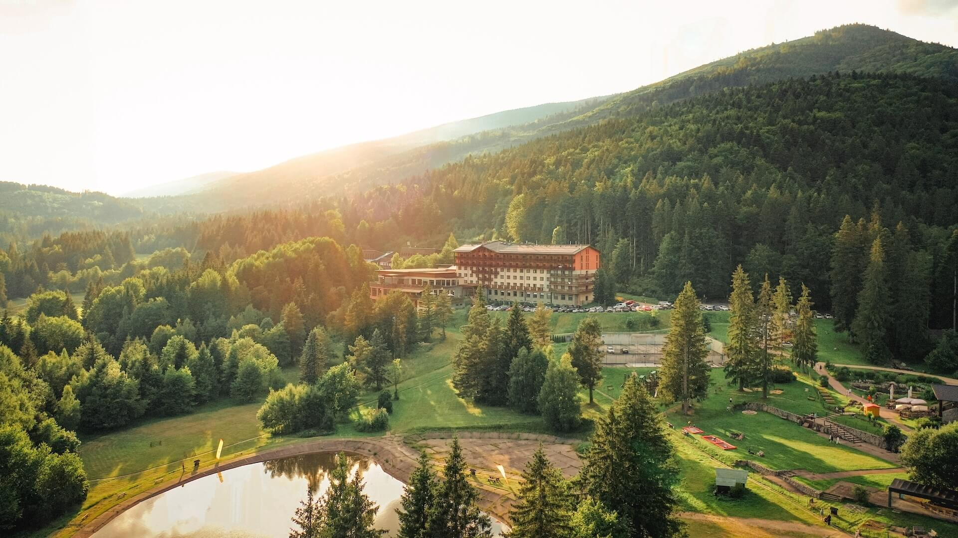 Hotel in the forest, forest in the hotel ...