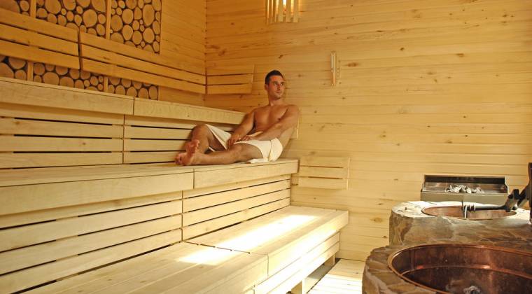 Hotel Partizan sauny